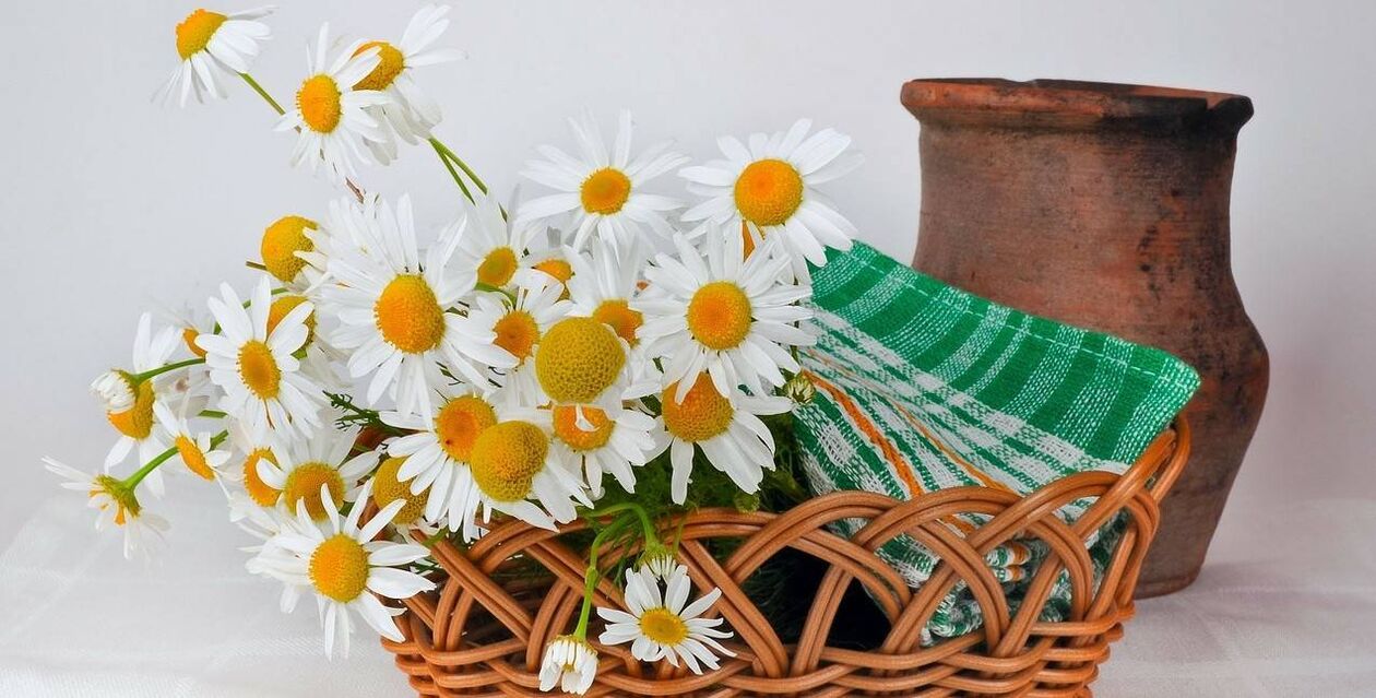 Comment faire un tonique pour le visage avec des fleurs de camomille.